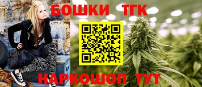 гидра Камышлов