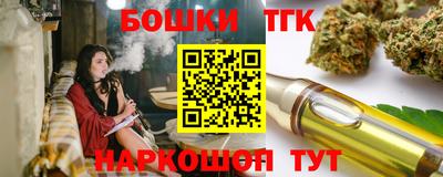 гидра Камышлов