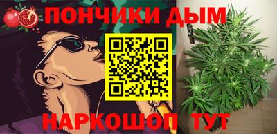 гидра Камышлов