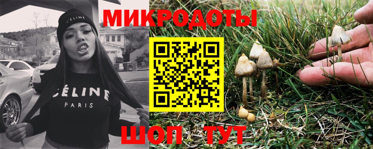 Галлюциногенные грибы прущие грибы Лесной