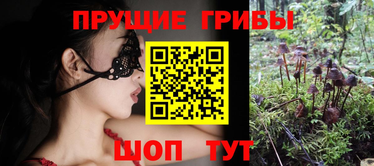 Лесной  Псилоцибиновые грибы мицелий  магазин продажи наркотиков  Галлюциногенные грибы Magic Shrooms  Вход с VPN 